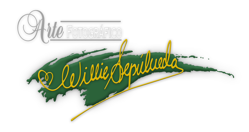 Willie Sepulveda Studio Logo