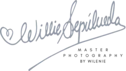 Logo Willie Sepúlveda Studio