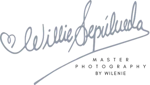 Logo Willie Sepúlveda Studio